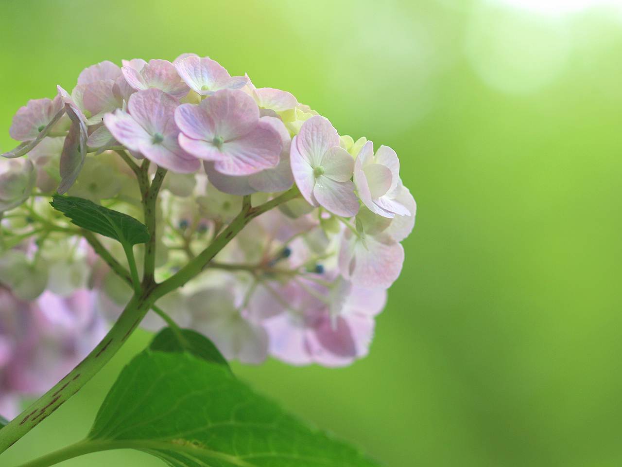 X}[gtHǎ