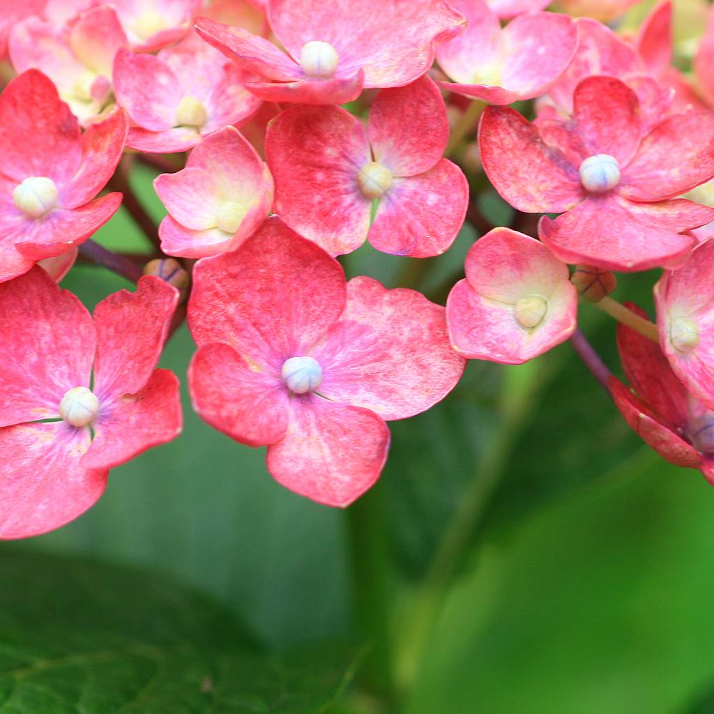 X}[gtHǎ