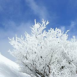 スマートフォン壁紙 青空と雪山 Andoroid Iphoneスマホ待ち受け