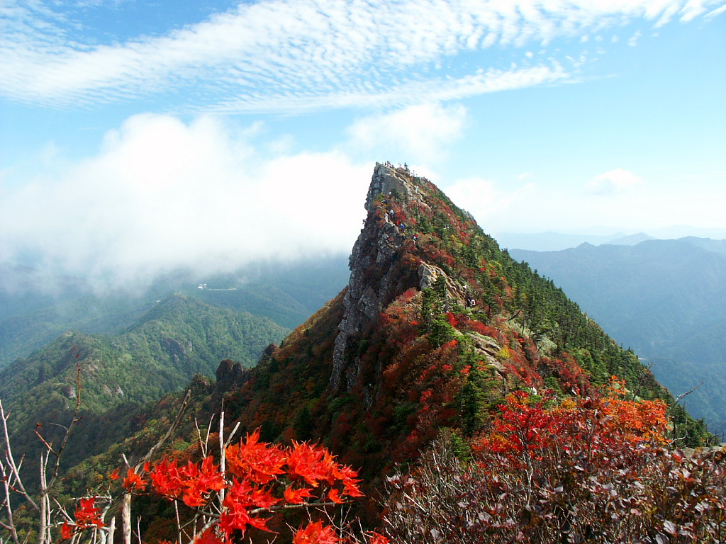 石鎚山の紅葉 の無料写真素材