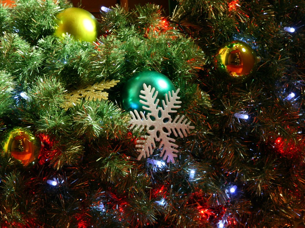 キャナルシティーのxmas クリスマス の無料写真素材 キャナルシティーのxmas クリスマス の無料写真素材