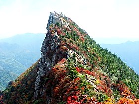 紅葉の壁紙 写真素材