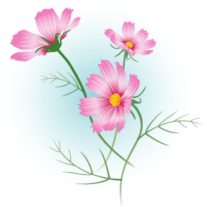 秋の草花 コスモス 彼岸花 ススキなど の無料壁紙 フリー写真素材 秋の草花 コスモス 彼岸花 ススキなど の無料壁紙 フリー写真素材