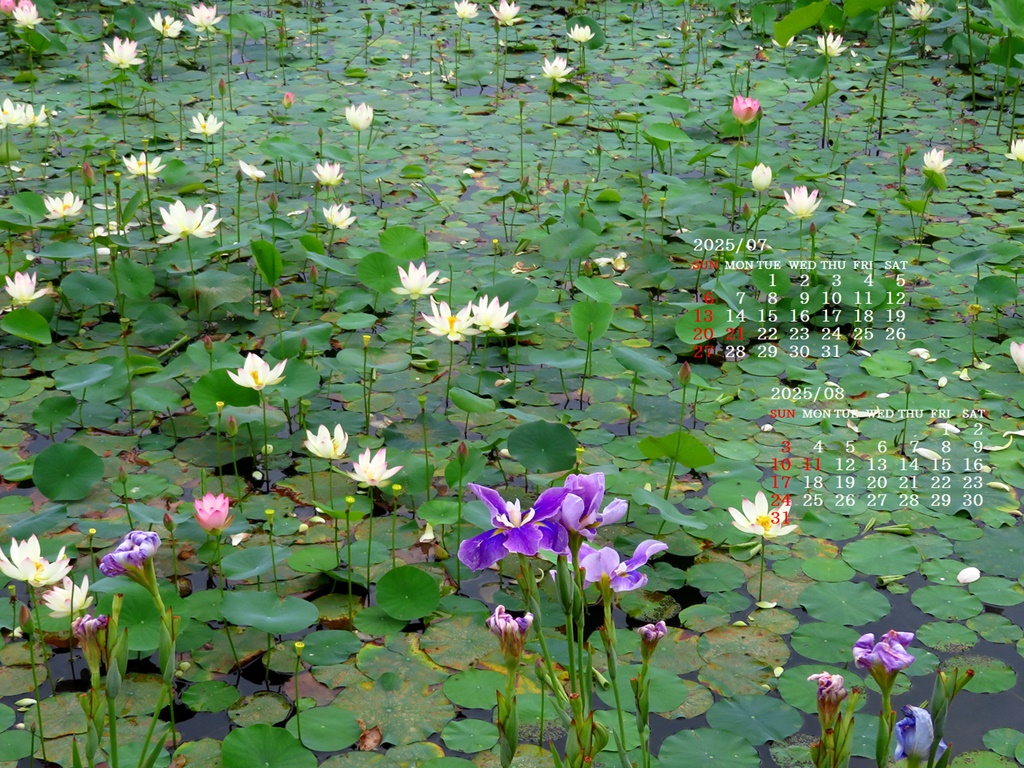 摜̏ŉENbNāuǎɐݒvAj[ɂȂꍇ͂摜ۑĉB
