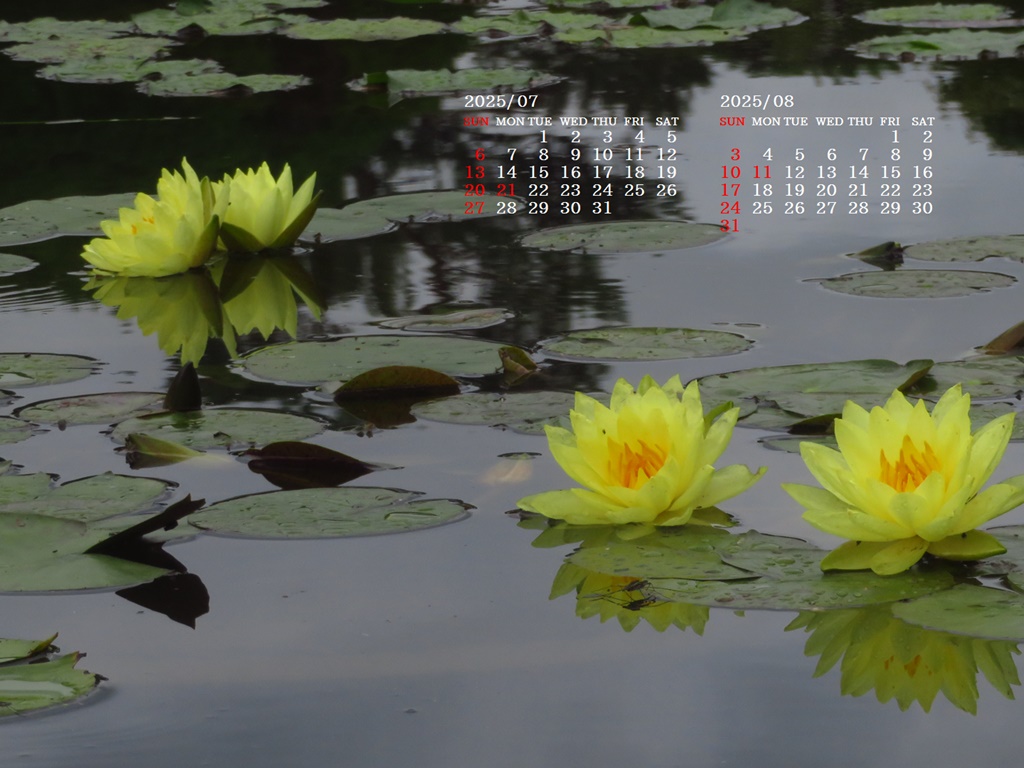 摜̏ŉENbNāuǎɐݒvAj[ɂȂꍇ͂摜ۑĉB