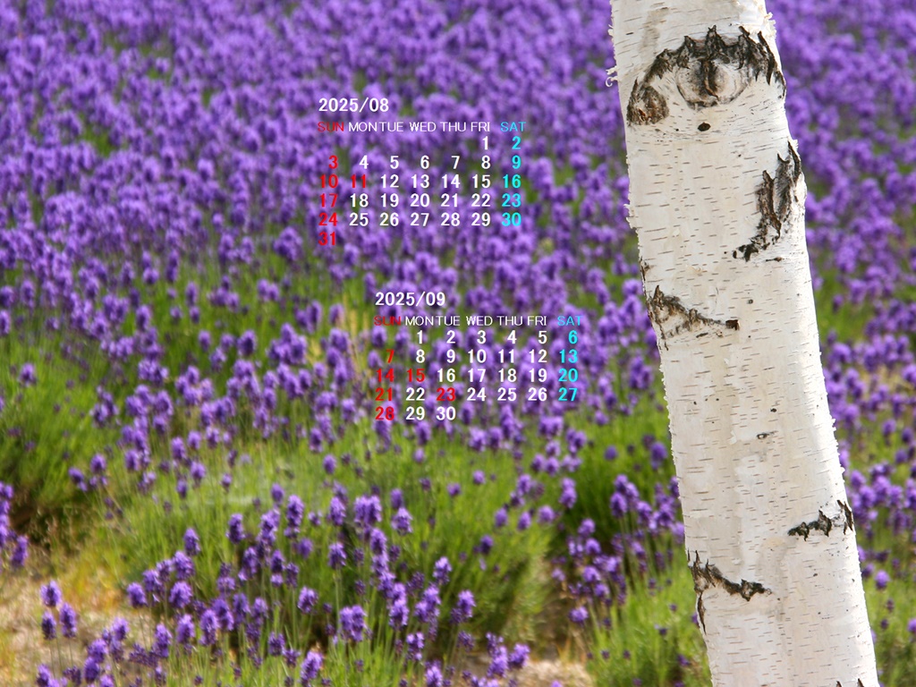 摜̏ŉENbNāuǎɐݒvAj[ɂȂꍇ͂摜ۑĉB