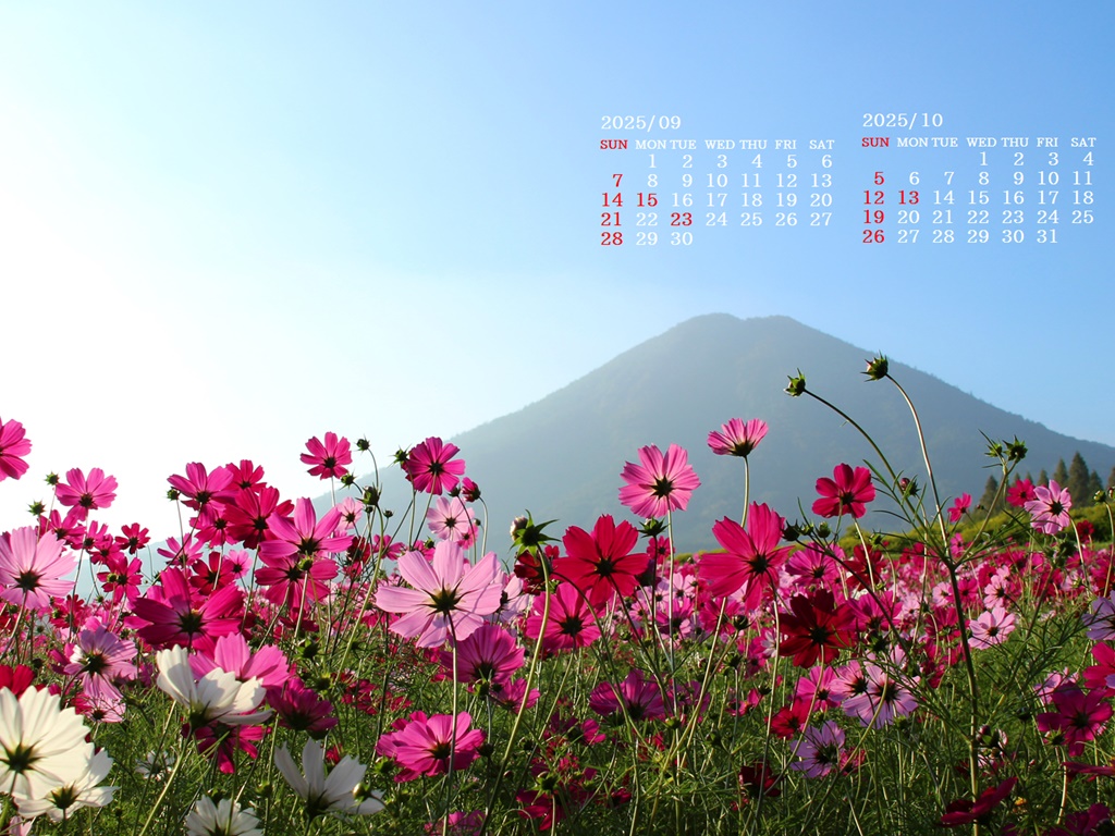 摜̏ŉENbNāuǎɐݒvAj[ɂȂꍇ͂摜ۑĉB