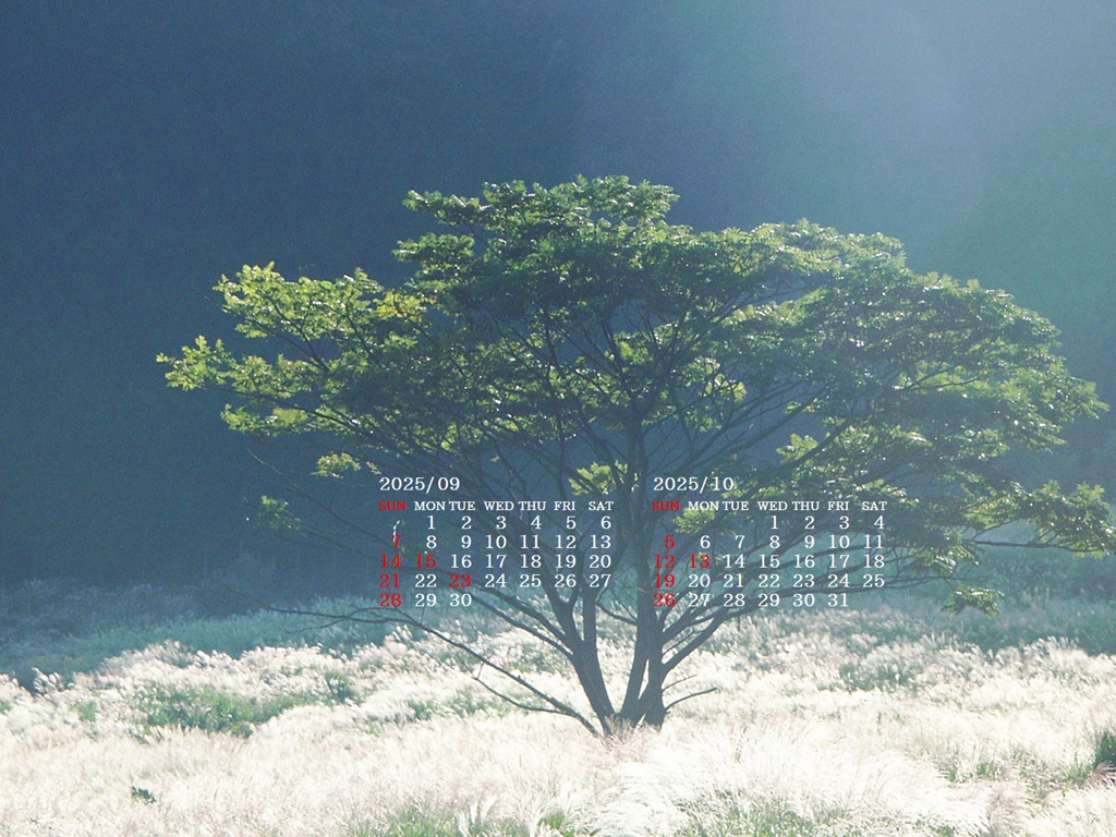摜̏ŉENbNāuǎɐݒvAj[ɂȂꍇ͂摜ۑĉB