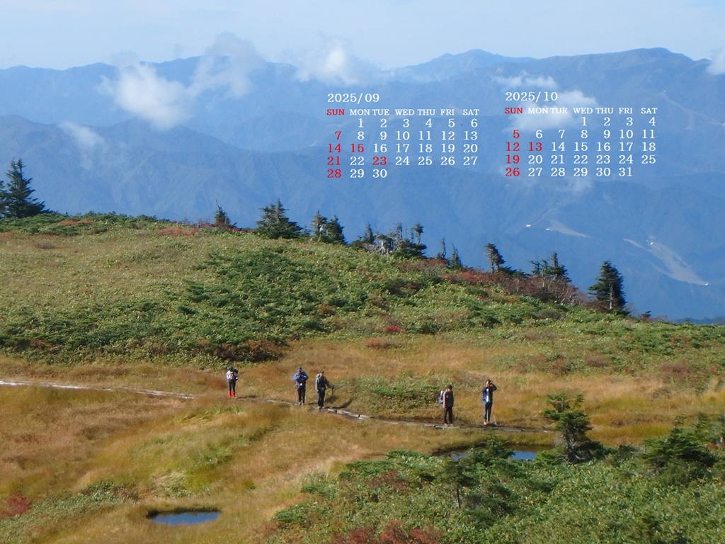 摜̏ŉENbNāuǎɐݒvAj[ɂȂꍇ͂摜ۑĉB