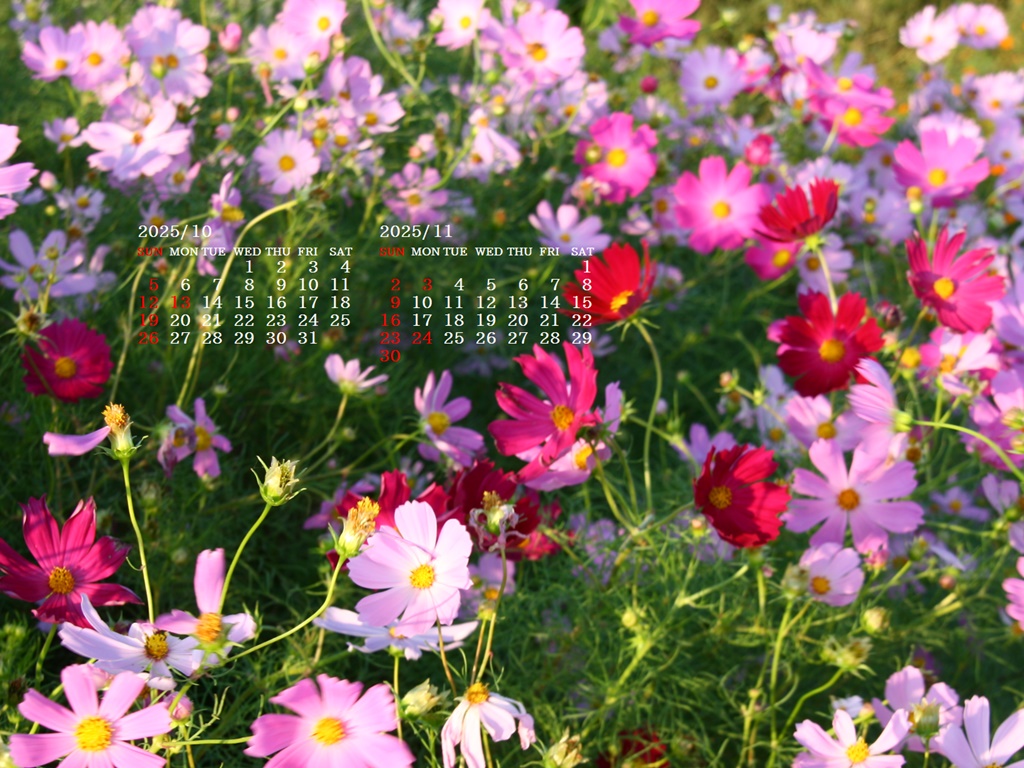 摜̏ŉENbNāuǎɐݒvAj[ɂȂꍇ͂摜ۑĉB