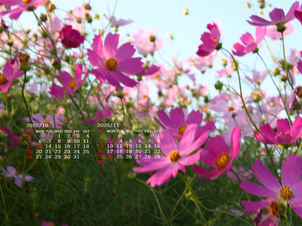 摜̏ŉENbNāuǎɐݒvAj[ɂȂꍇ͂摜ۑĉB