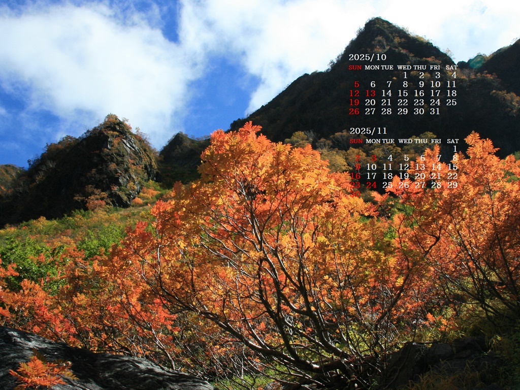 摜̏ŉENbNāuǎɐݒvAj[ɂȂꍇ͂摜ۑĉB