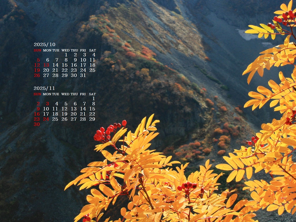 摜̏ŉENbNāuǎɐݒvAj[ɂȂꍇ͂摜ۑĉB