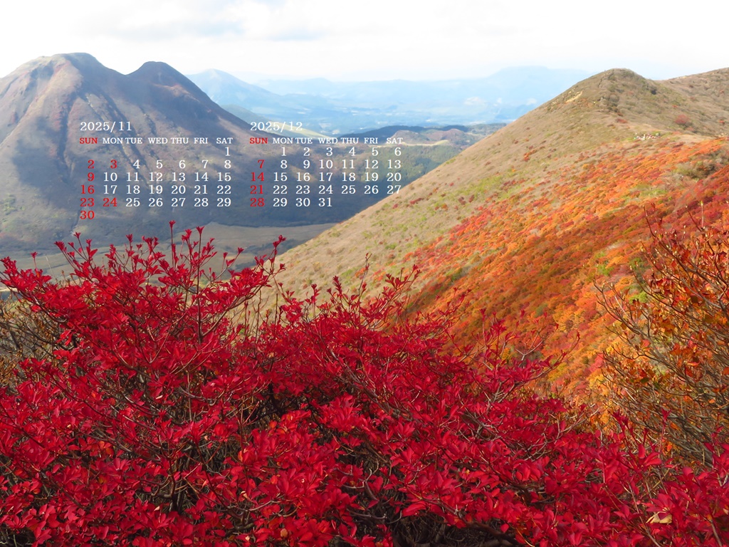 摜̏ŉENbNāuǎɐݒvAj[ɂȂꍇ͂摜ۑĉB