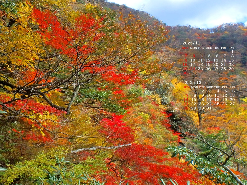 摜̏ŉENbNāuǎɐݒvAj[ɂȂꍇ͂摜ۑĉB