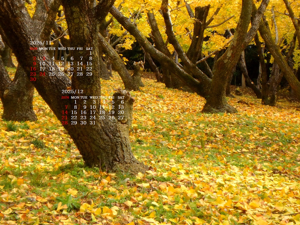 摜̏ŉENbNāuǎɐݒvAj[ɂȂꍇ͂摜ۑĉB