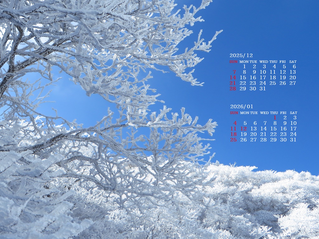 摜̏ŉENbNāuǎɐݒvAj[ɂȂꍇ͂摜ۑĉB