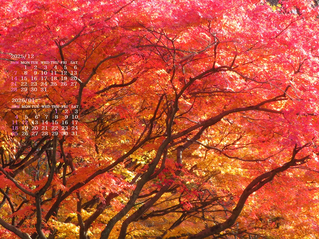 摜̏ŉENbNāuǎɐݒvAj[ɂȂꍇ͂摜ۑĉB