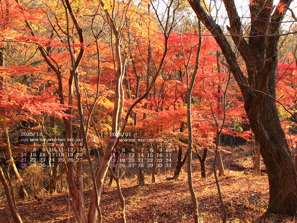 �摜�̏�ŉE�N���b�N���āu�ǎ��ɐݒ�v�A���j���[�ɂȂ��ꍇ�͂�������摜��ۑ����ĉ������B