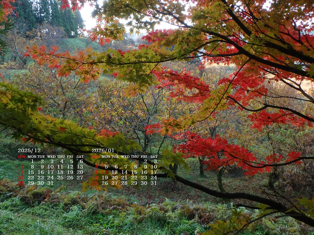 摜̏ŉENbNāuǎɐݒvAj[ɂȂꍇ͂摜ۑĉB