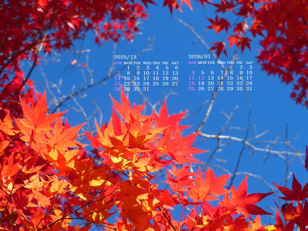 �摜�̏�ŉE�N���b�N���āu�ǎ��ɐݒ�v�A���j���[�ɂȂ��ꍇ�͂�������摜��ۑ����ĉ������B