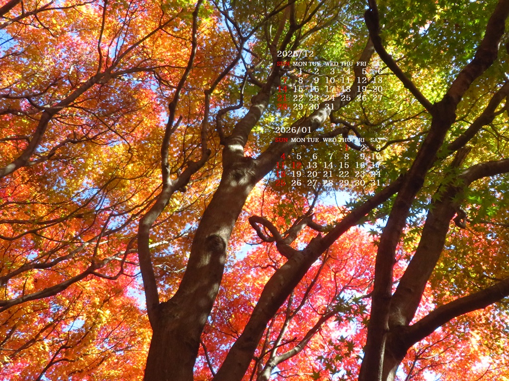 �摜�̏�ŉE�N���b�N���āu�ǎ��ɐݒ�v�A���j���[�ɂȂ��ꍇ�͂�������摜��ۑ����ĉ������B