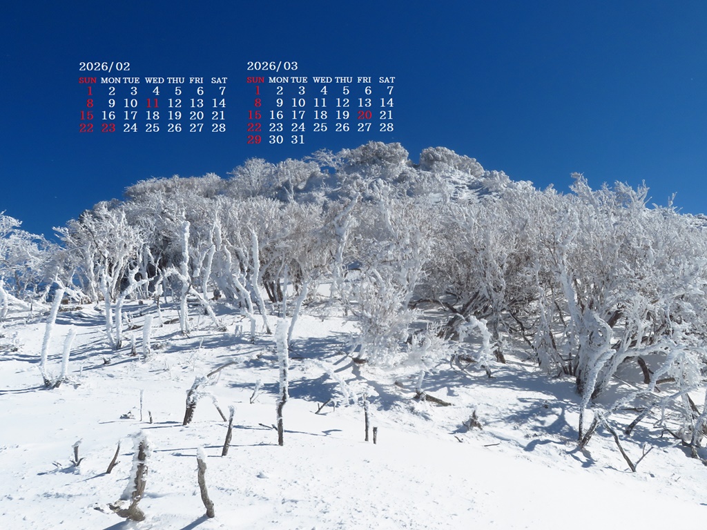 �摜�̏�ŉE�N���b�N���āu�ǎ��ɐݒ�v�A���j���[�ɂȂ��ꍇ�͂�������摜��ۑ����ĉ������B