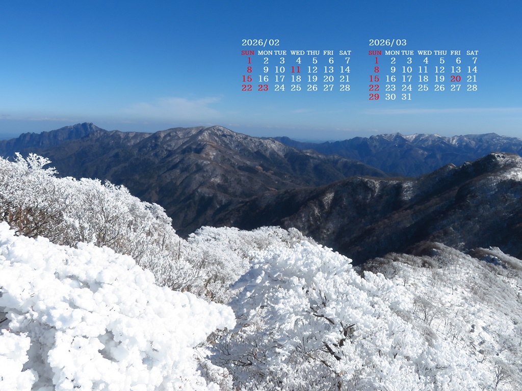 �摜�̏�ŉE�N���b�N���āu�ǎ��ɐݒ�v�A���j���[�ɂȂ��ꍇ�͂�������摜��ۑ����ĉ������B