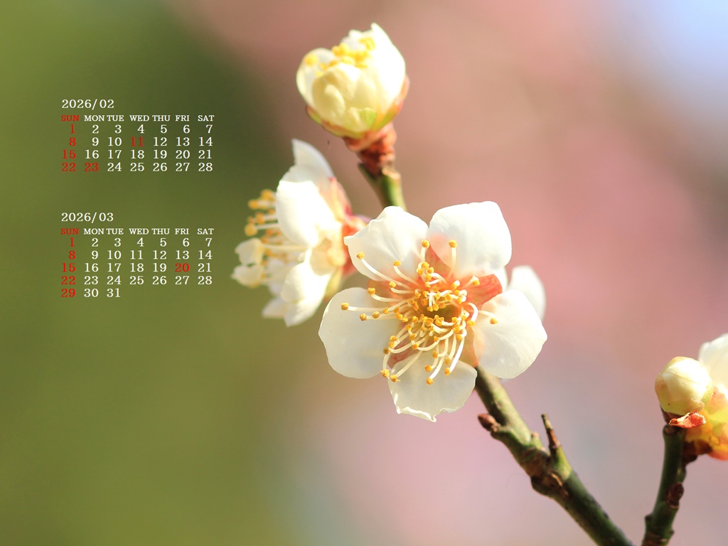 �摜�̏�ŉE�N���b�N���āu�ǎ��ɐݒ�v�A���j���[�ɂȂ��ꍇ�͂�������摜��ۑ����ĉ������B