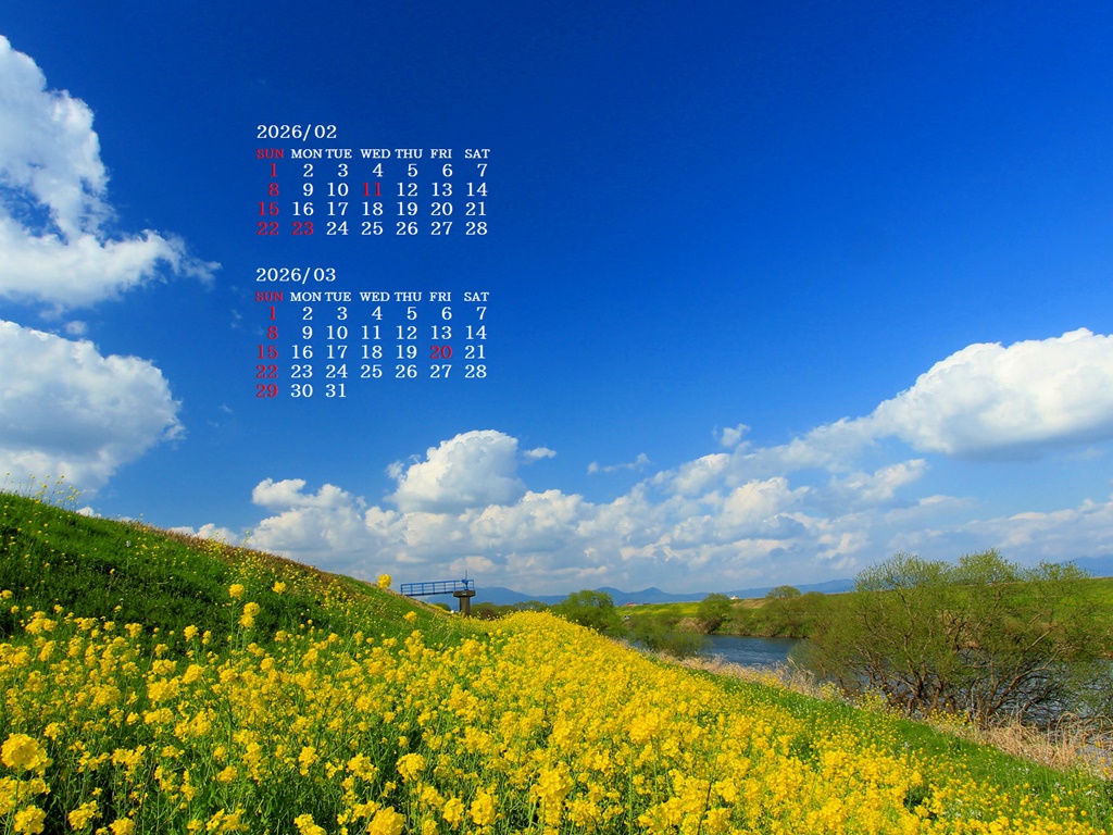 �摜�̏�ŉE�N���b�N���āu�ǎ��ɐݒ�v�A���j���[�ɂȂ��ꍇ�͂�������摜��ۑ����ĉ������B