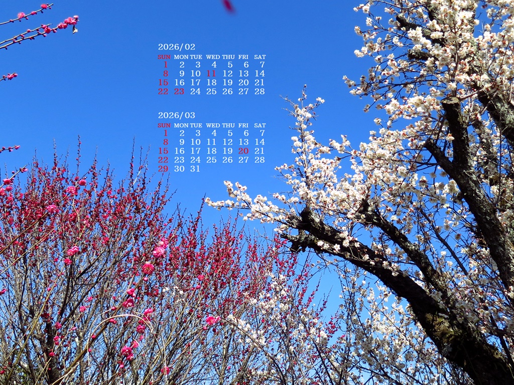 �摜�̏�ŉE�N���b�N���āu�ǎ��ɐݒ�v�A���j���[�ɂȂ��ꍇ�͂�������摜��ۑ����ĉ������B