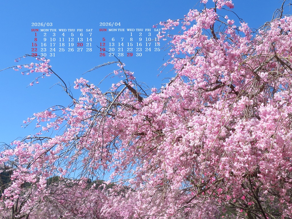 �摜�̏�ŉE�N���b�N���āu�ǎ��ɐݒ�v�A���j���[�ɂȂ��ꍇ�͂�������摜��ۑ����ĉ������B