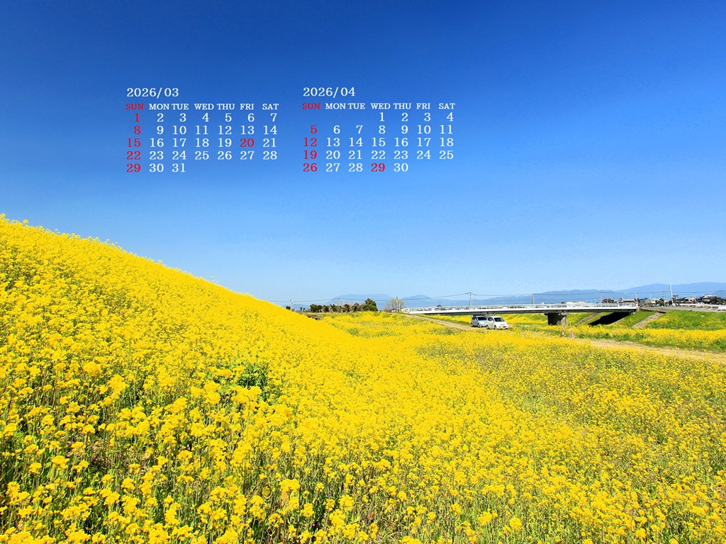 �摜�̏�ŉE�N���b�N���āu�ǎ��ɐݒ�v�A���j���[�ɂȂ��ꍇ�͂�������摜��ۑ����ĉ������B