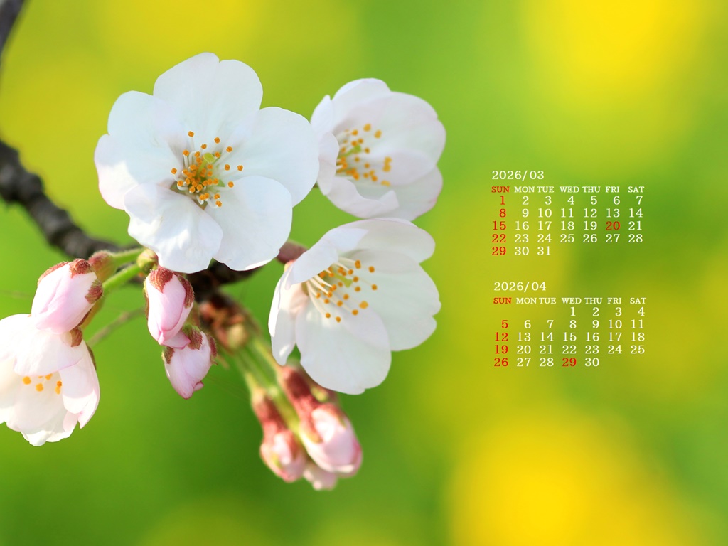 �摜�̏�ŉE�N���b�N���āu�ǎ��ɐݒ�v�A���j���[�ɂȂ��ꍇ�͂�������摜��ۑ����ĉ������B