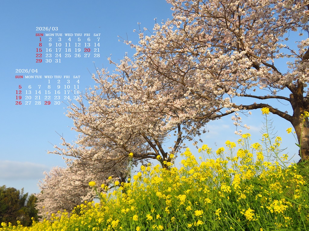 �摜�̏�ŉE�N���b�N���āu�ǎ��ɐݒ�v�A���j���[�ɂȂ��ꍇ�͂�������摜��ۑ����ĉ������B