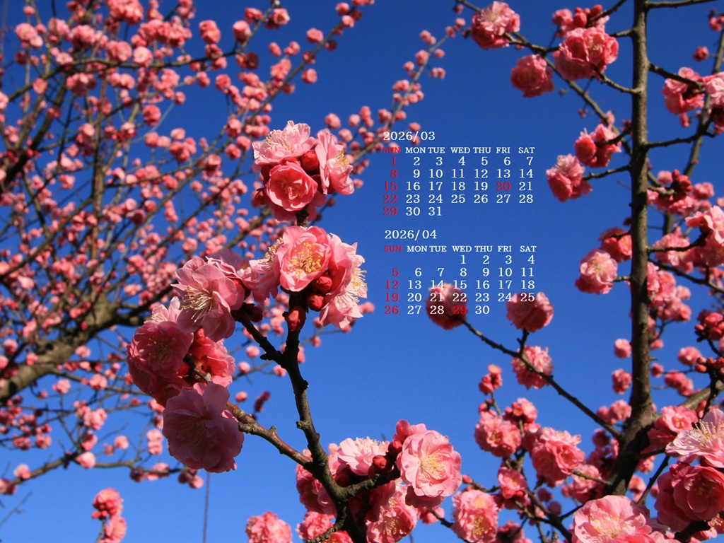 �摜�̏�ŉE�N���b�N���āu�ǎ��ɐݒ�v�A���j���[�ɂȂ��ꍇ�͂�������摜��ۑ����ĉ������B