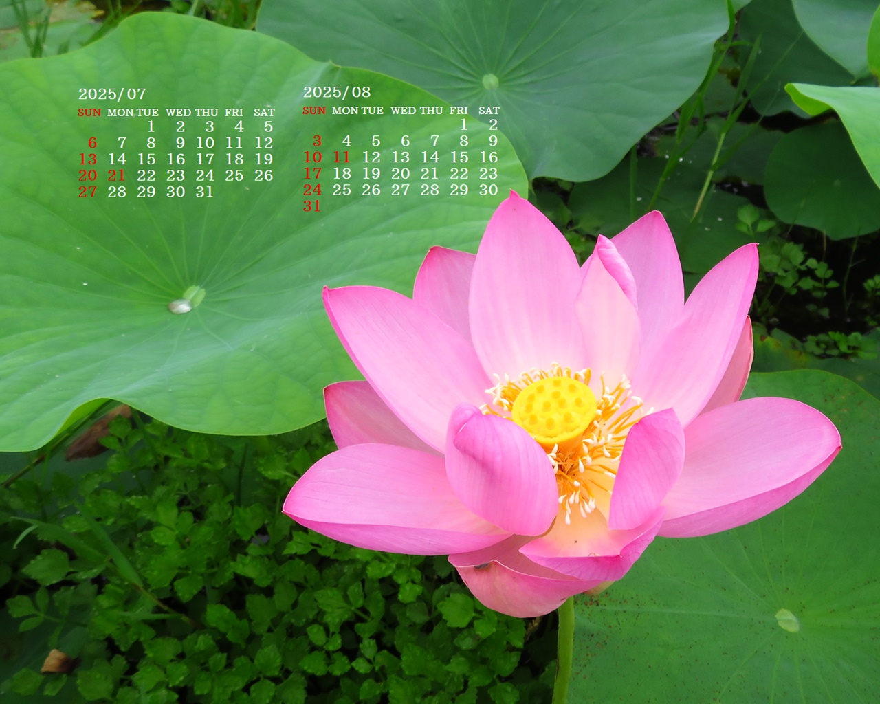 摜̏ŉENbNāuǎɐݒvAj[ɂȂꍇ͂摜ۑĉB