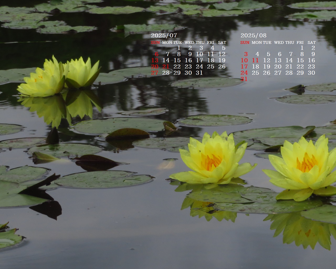 摜̏ŉENbNāuǎɐݒvAj[ɂȂꍇ͂摜ۑĉB