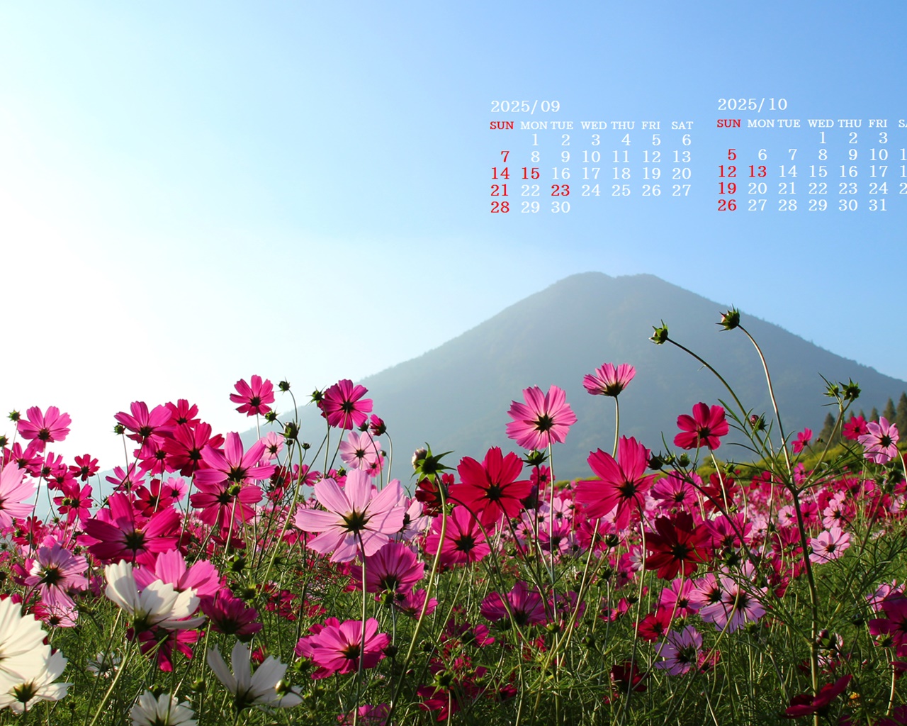 摜̏ŉENbNāuǎɐݒvAj[ɂȂꍇ͂摜ۑĉB