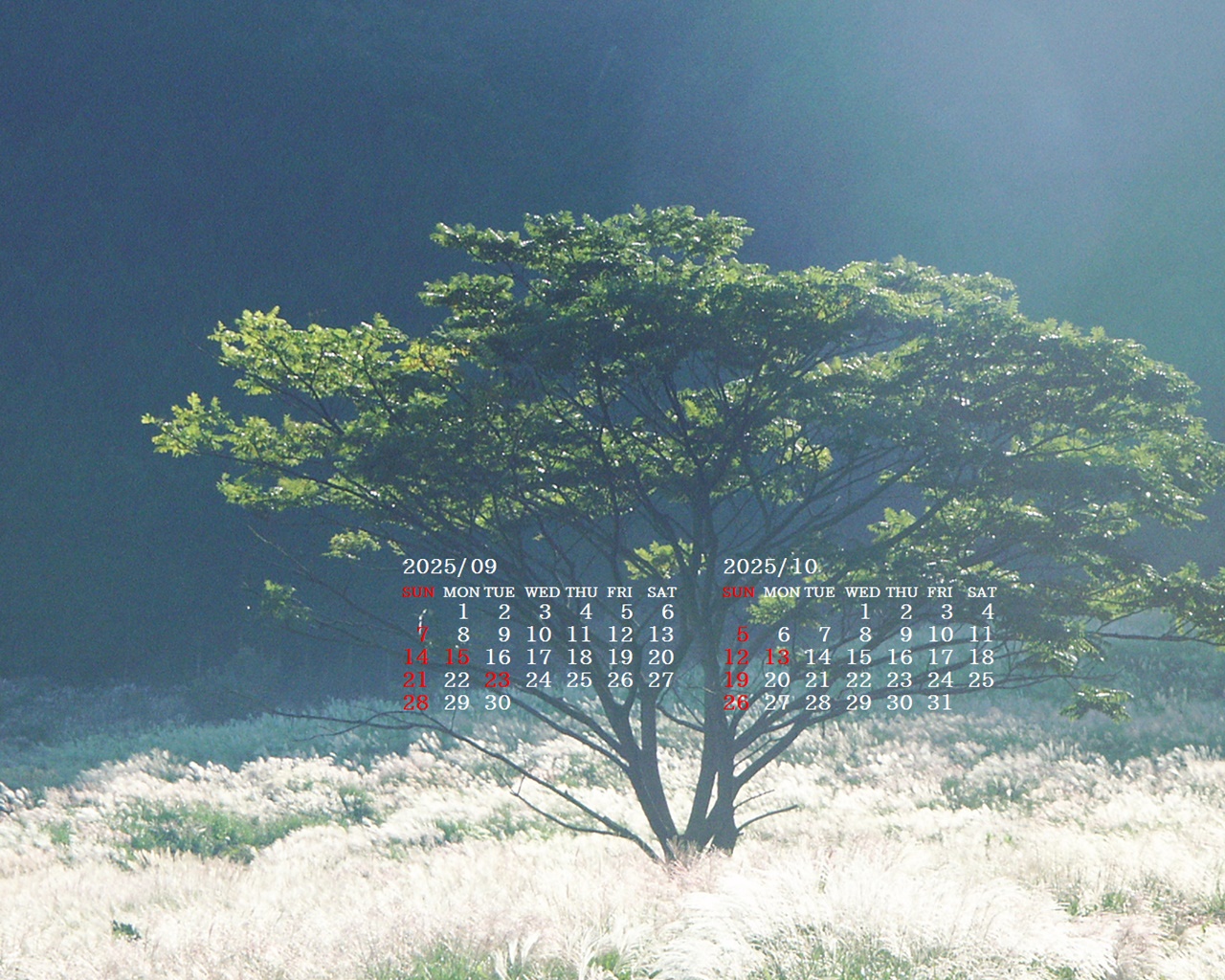 摜̏ŉENbNāuǎɐݒvAj[ɂȂꍇ͂摜ۑĉB