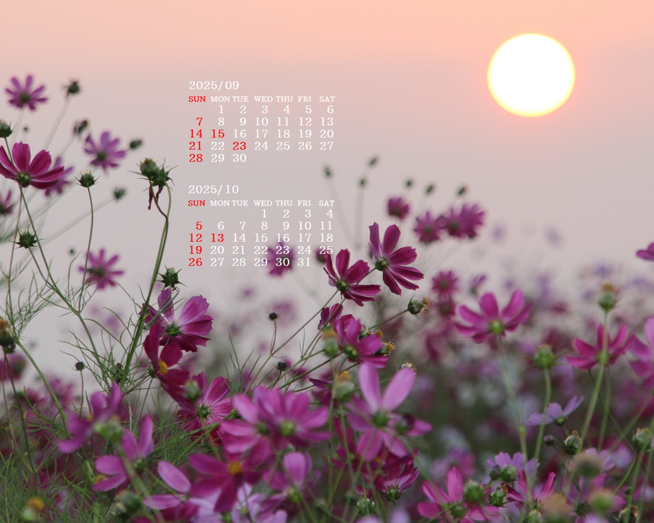 摜̏ŉENbNāuǎɐݒvAj[ɂȂꍇ͂摜ۑĉB