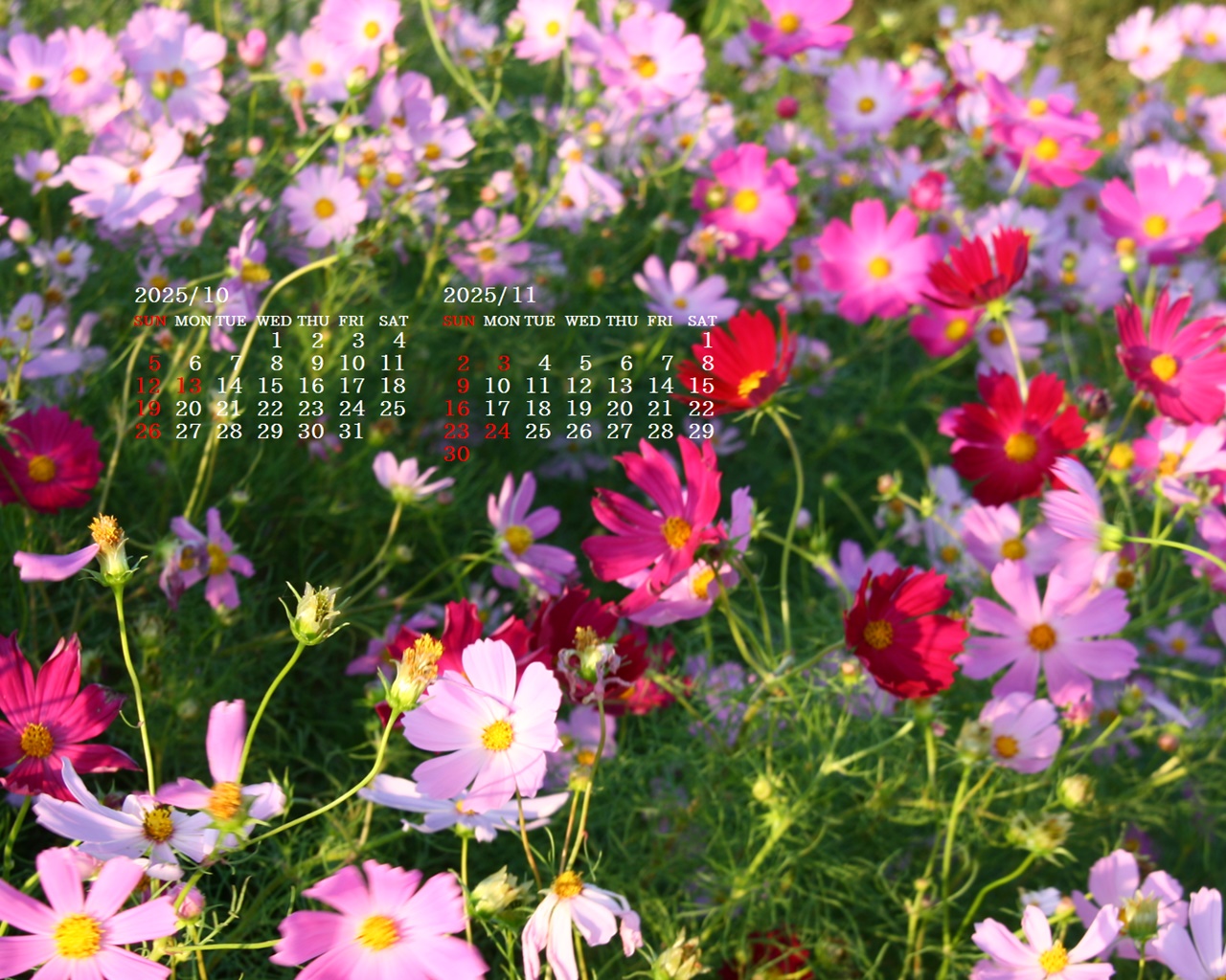 摜̏ŉENbNāuǎɐݒvAj[ɂȂꍇ͂摜ۑĉB