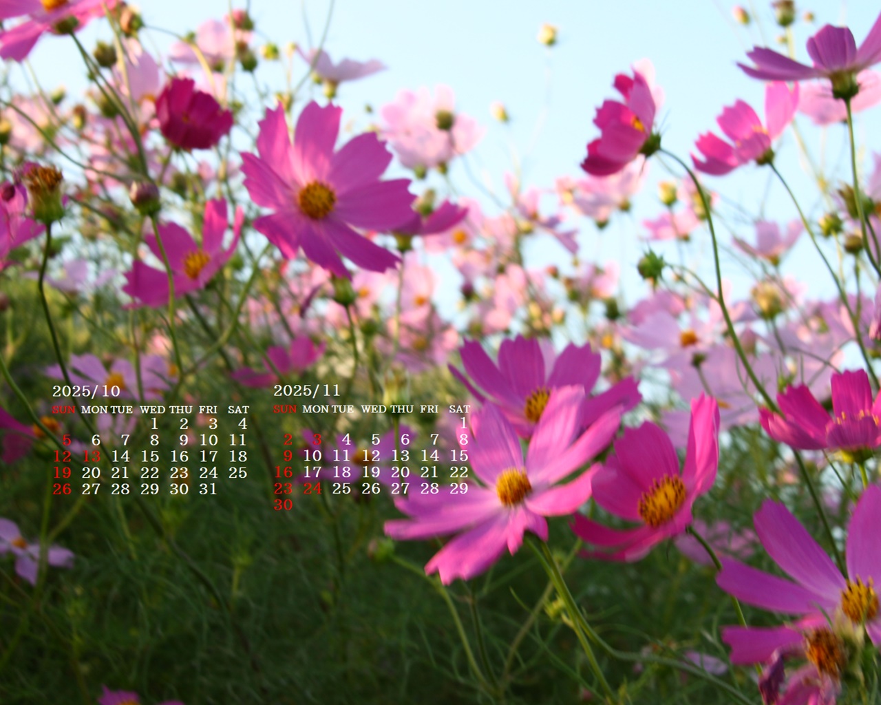 摜̏ŉENbNāuǎɐݒvAj[ɂȂꍇ͂摜ۑĉB