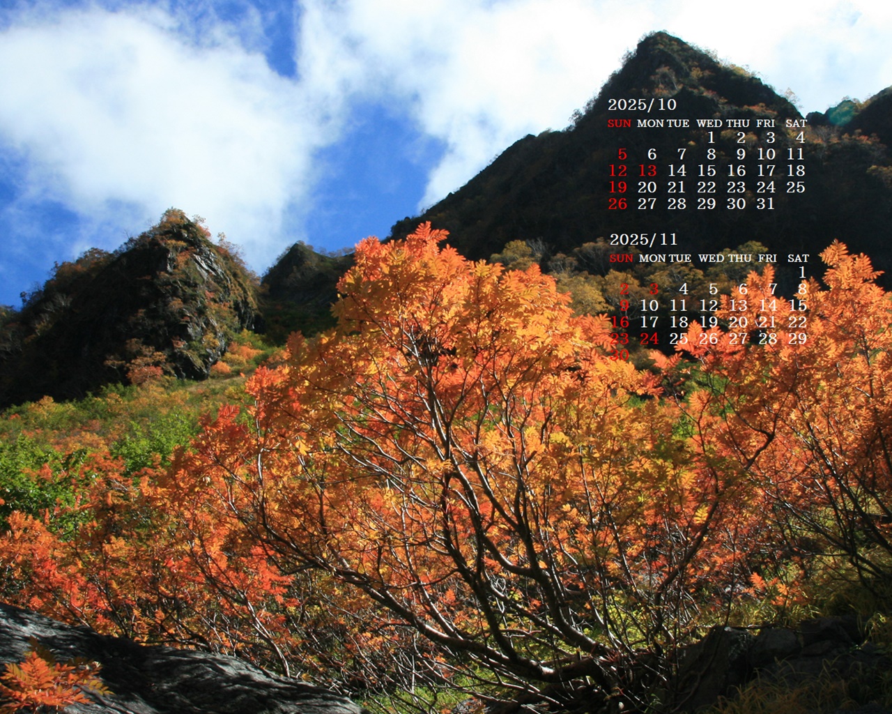 摜̏ŉENbNāuǎɐݒvAj[ɂȂꍇ͂摜ۑĉB