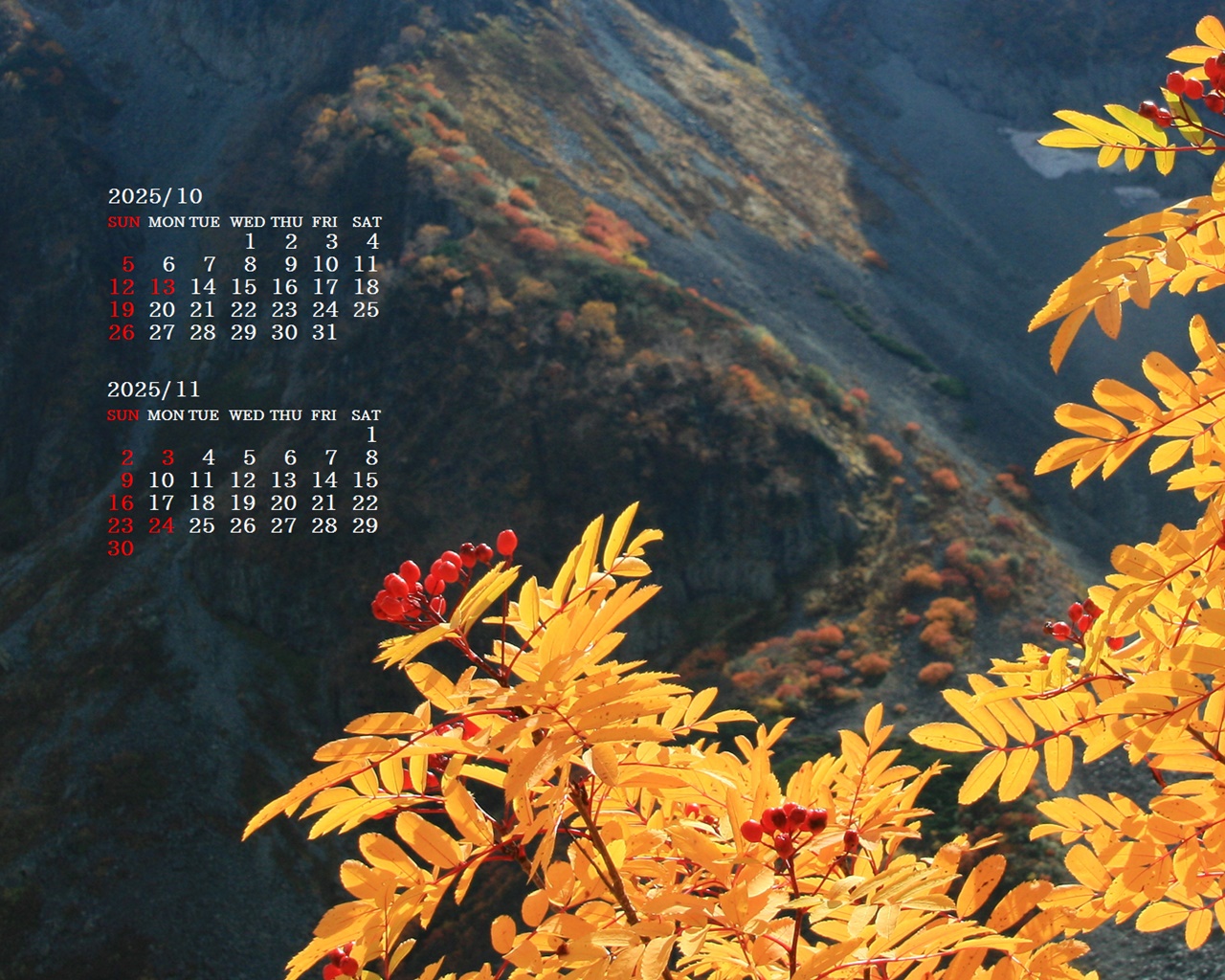 摜̏ŉENbNāuǎɐݒvAj[ɂȂꍇ͂摜ۑĉB