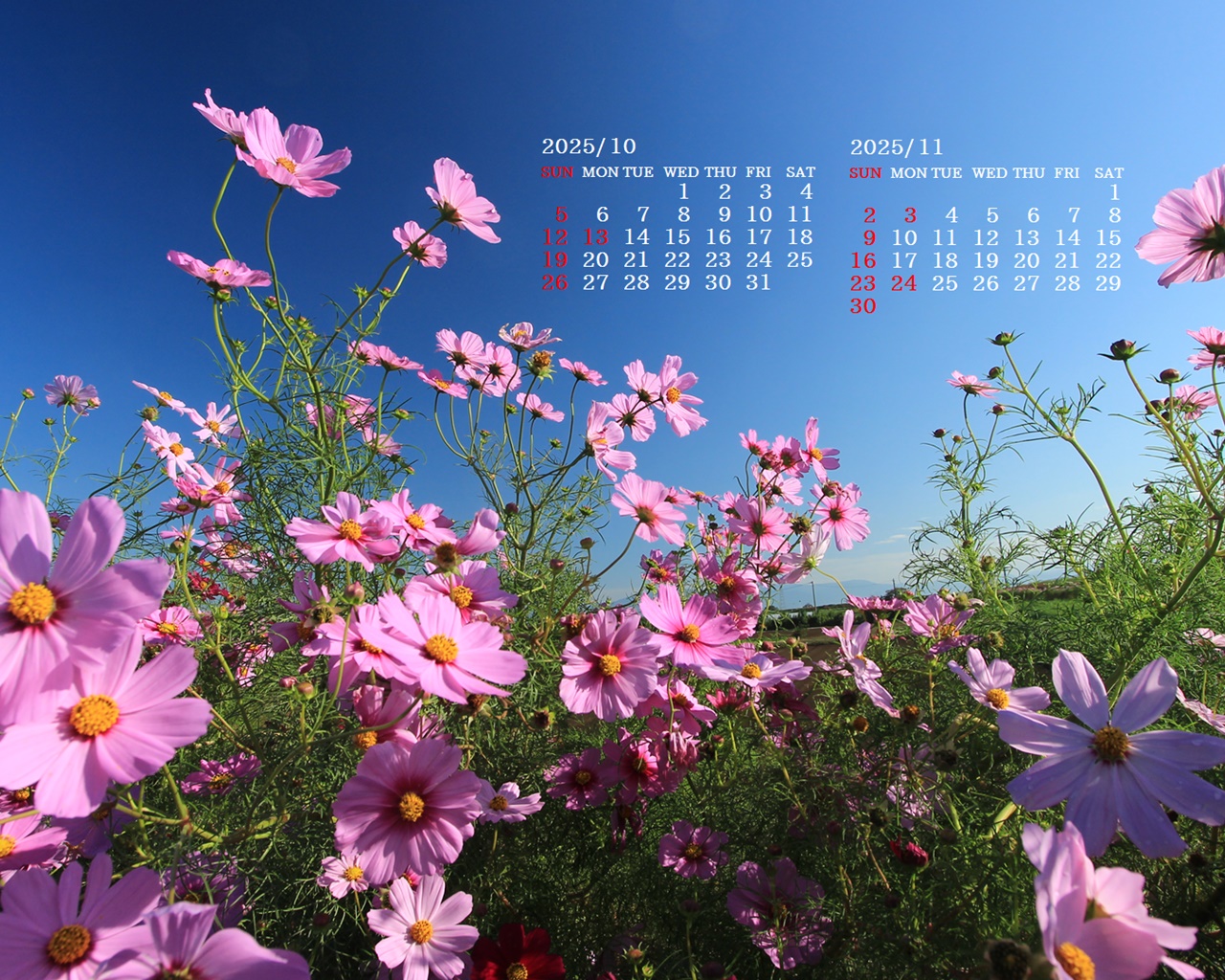 摜̏ŉENbNāuǎɐݒvAj[ɂȂꍇ͂摜ۑĉB