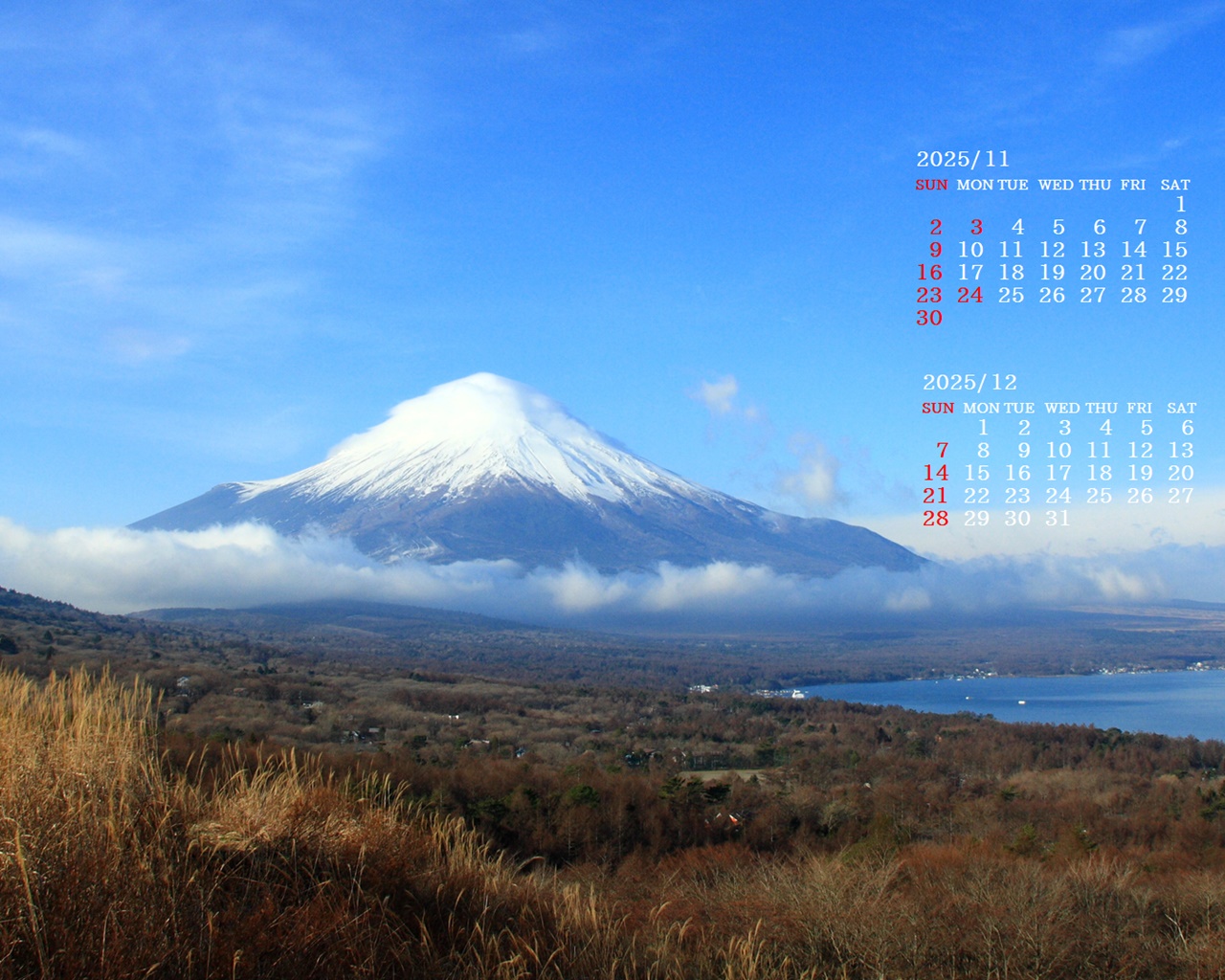 摜̏ŉENbNāuǎɐݒvAj[ɂȂꍇ͂摜ۑĉB