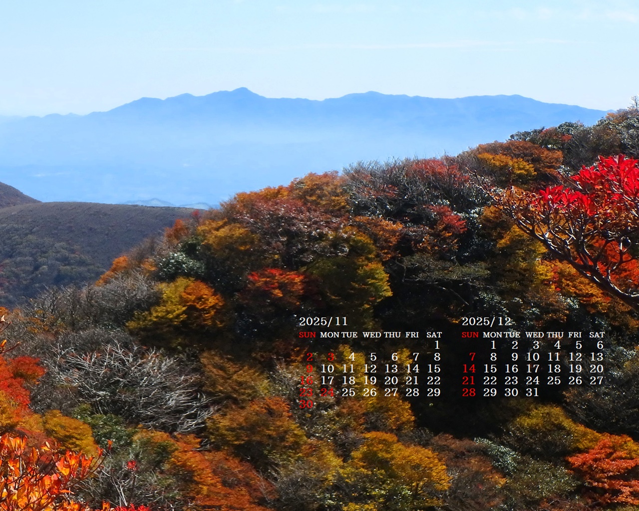 摜̏ŉENbNāuǎɐݒvAj[ɂȂꍇ͂摜ۑĉB