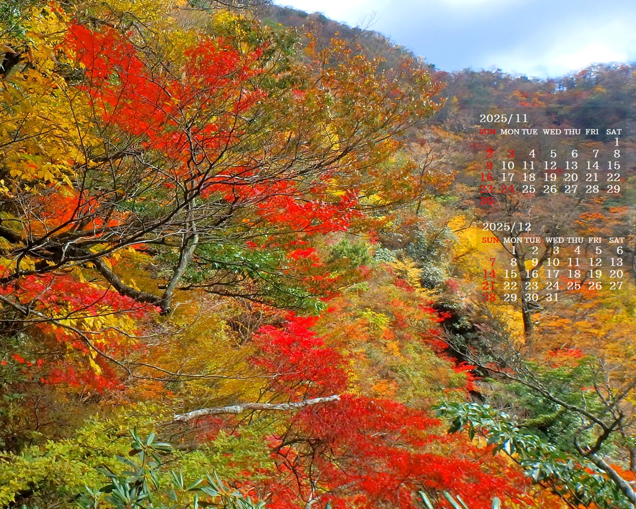 摜̏ŉENbNāuǎɐݒvAj[ɂȂꍇ͂摜ۑĉB