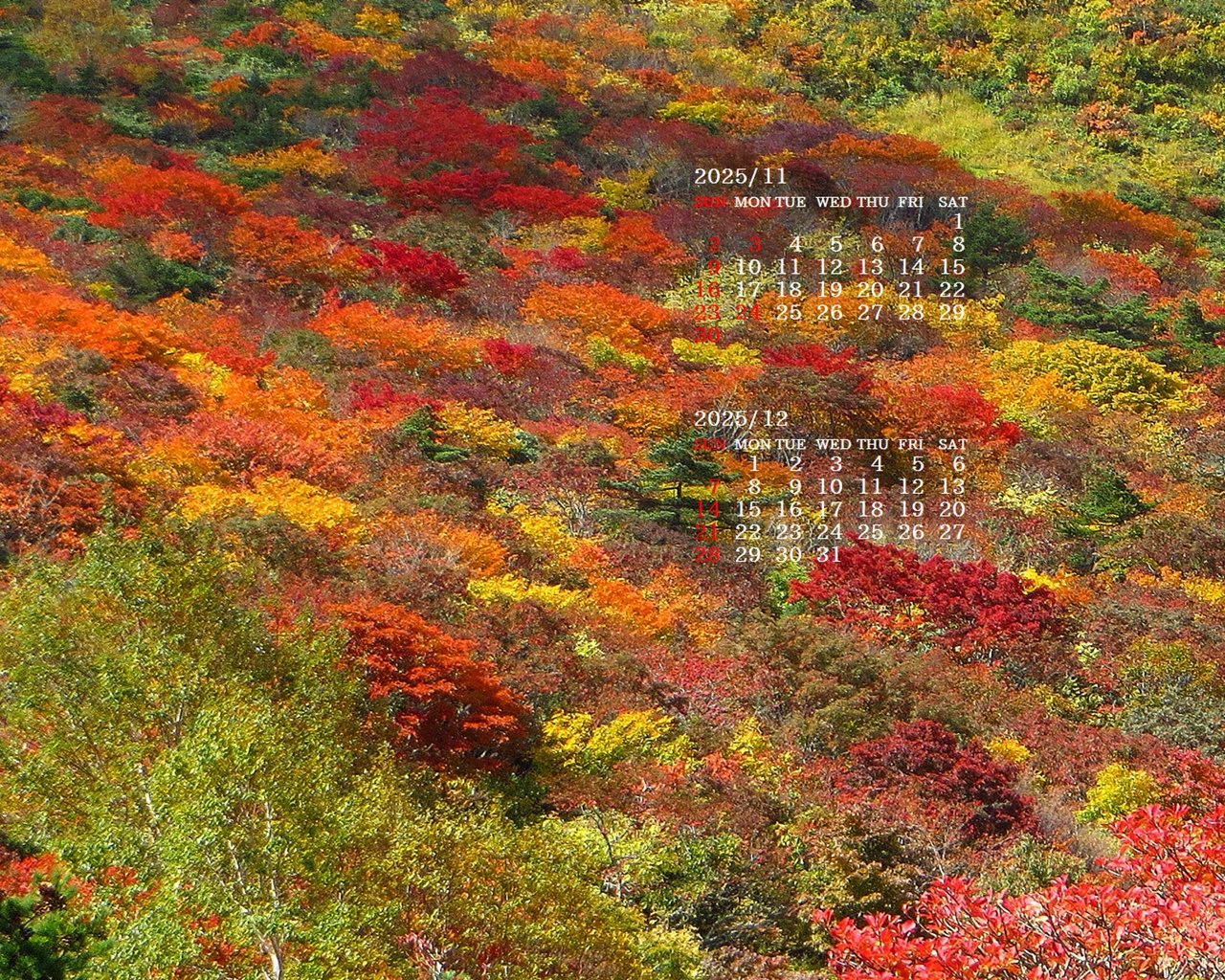 摜̏ŉENbNāuǎɐݒvAj[ɂȂꍇ͂摜ۑĉB